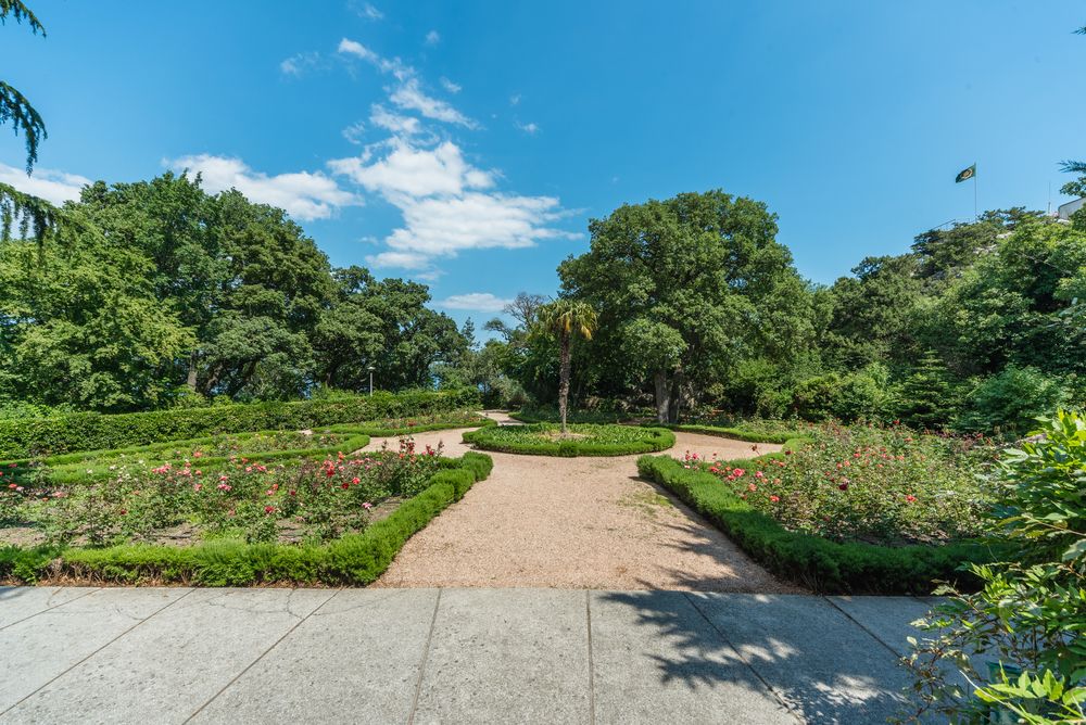 НИЖНЯЯ ОРЕАНДА, санаторий (Ореанда) - 31