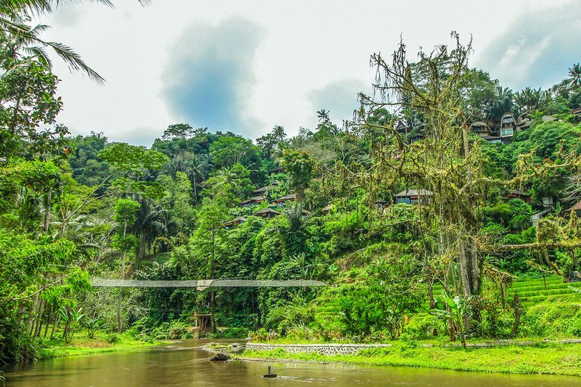 JUNGLE RETREAT BY KUPU KUPU BARONG - 2