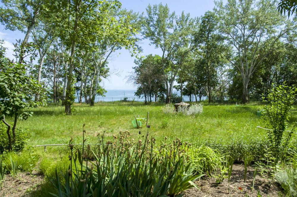 МЕЧТА ТЕЯ, отель (Керчь) - 21