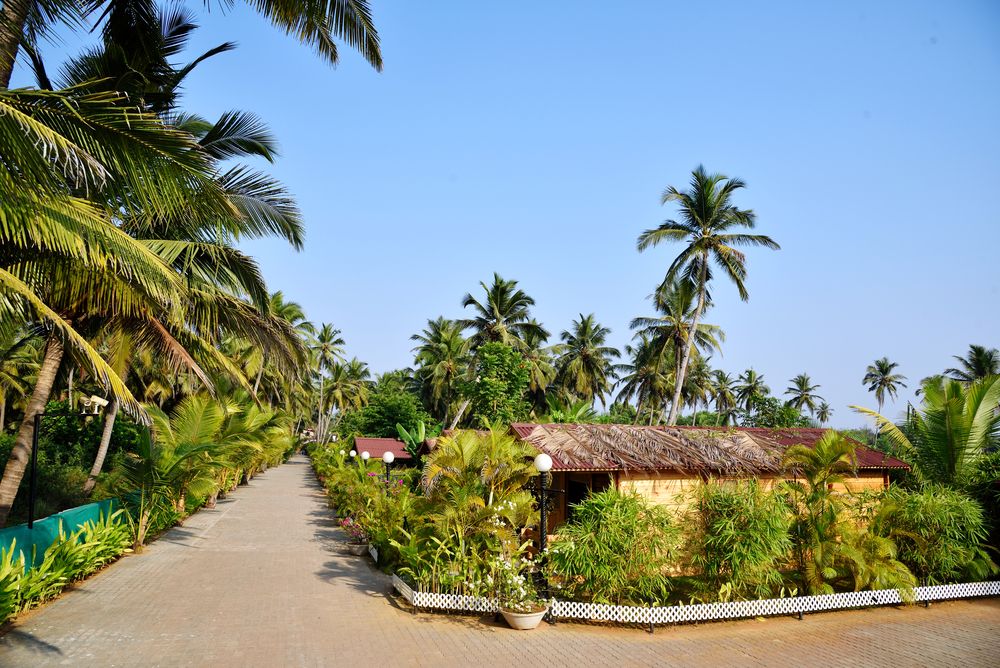 Картинка отеля - 6