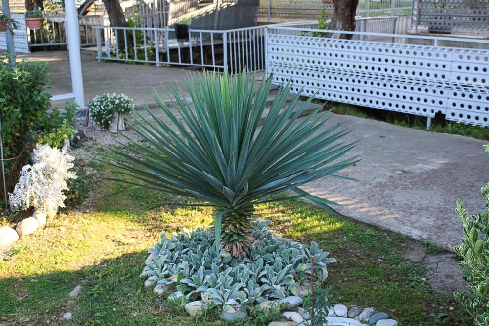 Картинка отеля - 3