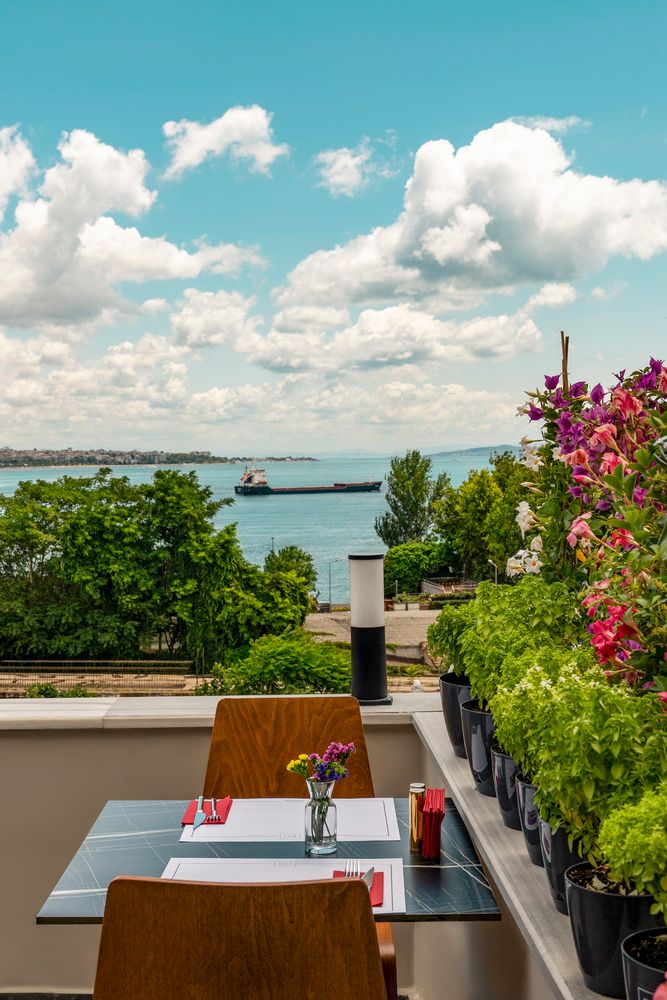 Royan Radisson Hagia Sophia - 37