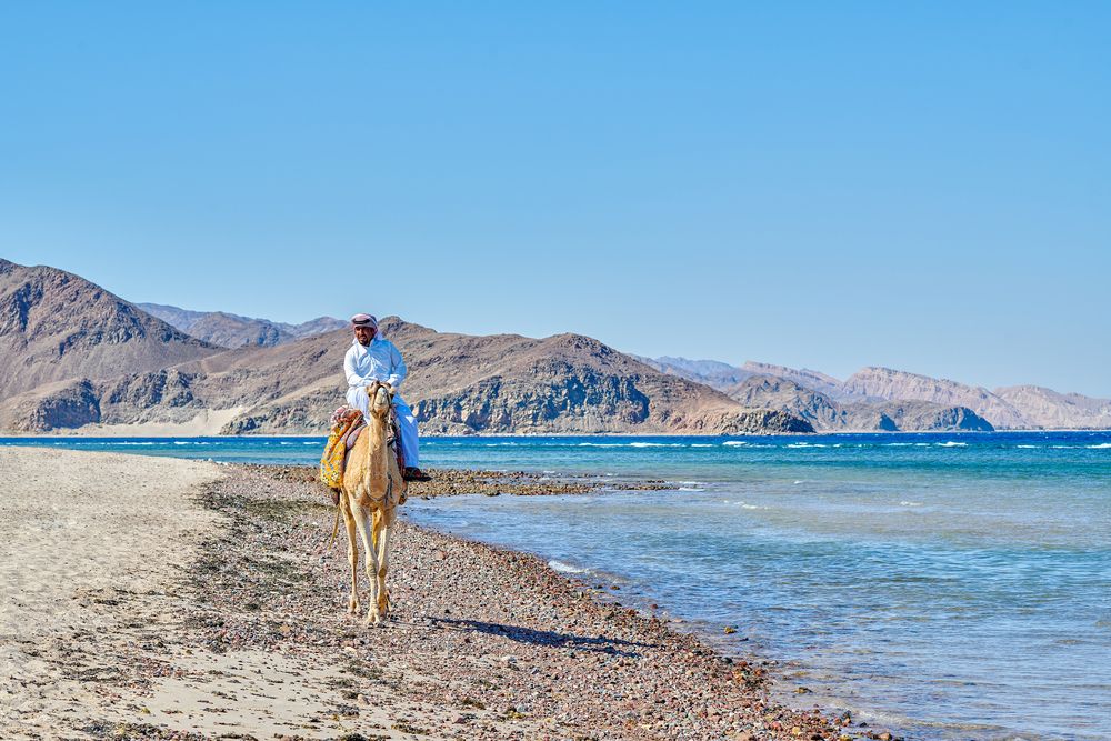 Картинка отеля - 53