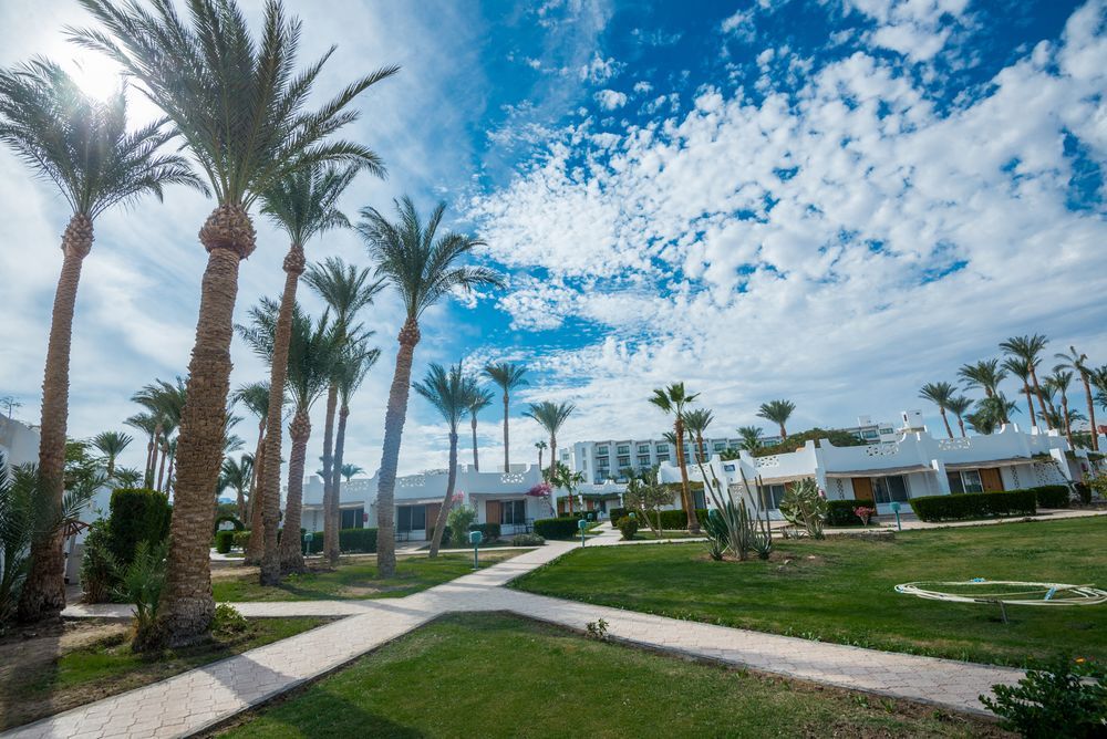 Картинка отеля - 19