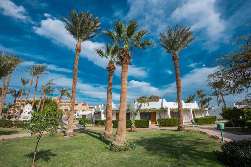 Картинка отеля - 18