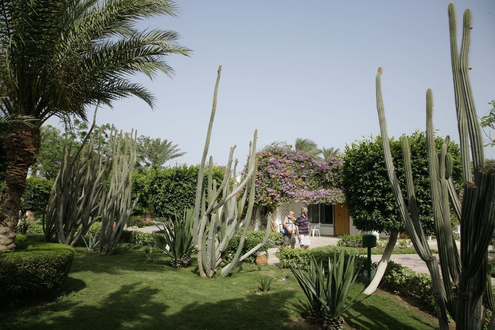 Картинка отеля - 14