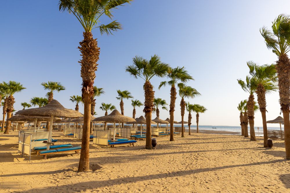 AMWAJ BEACH CLUB ABU SOMA - 10