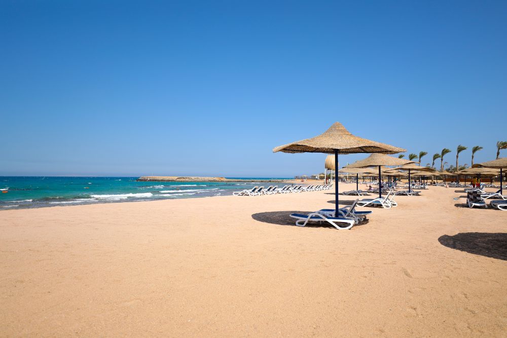 Картинка отеля - 12