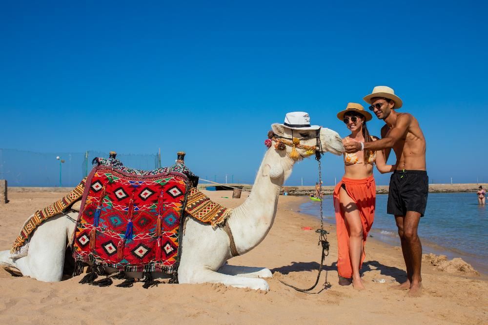 Картинка отеля - 43