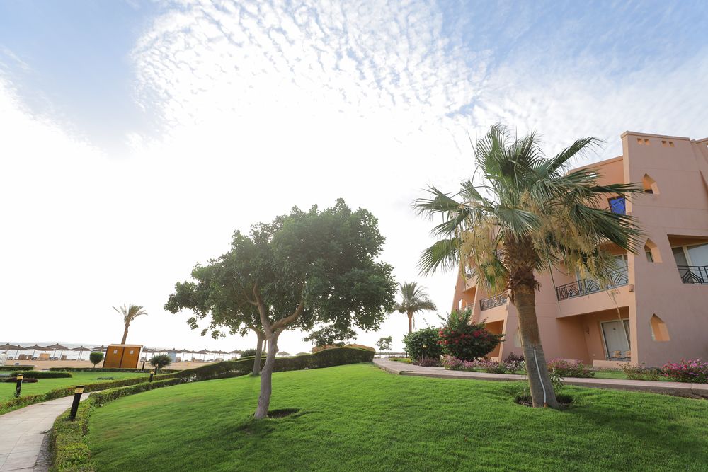 Картинка отеля - 31