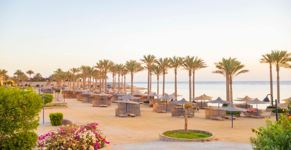 BLEND ELPHISTONE RESORT MARSA ALAM - 2