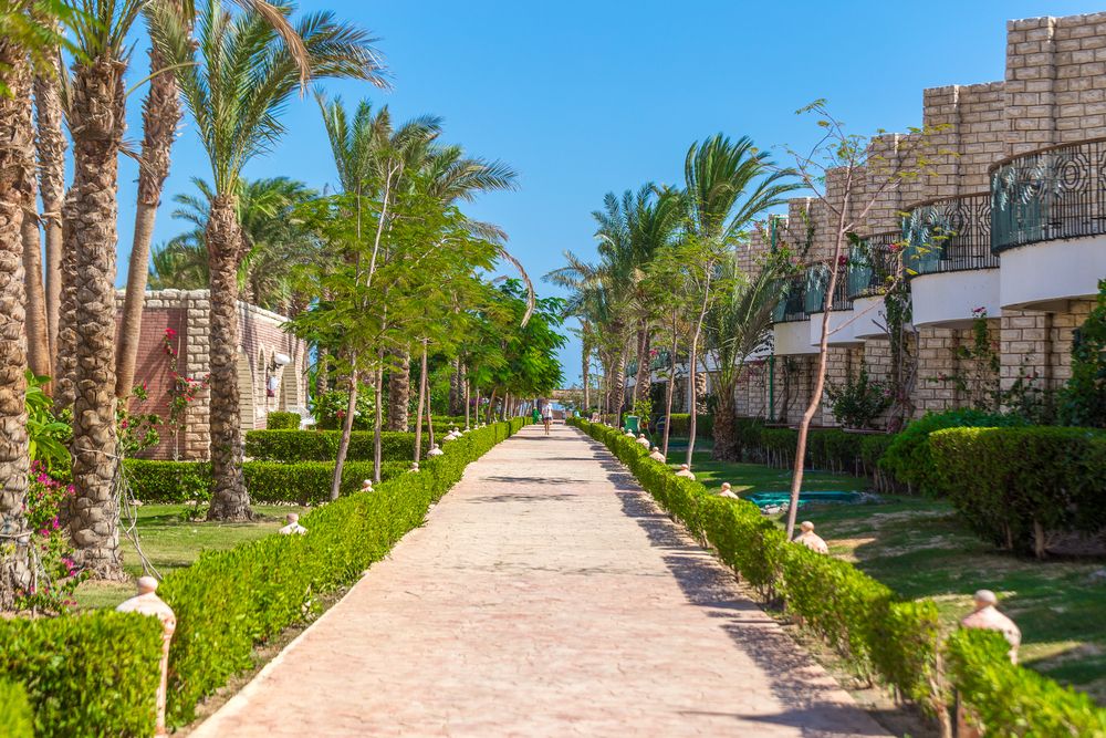 ALADDIN BEACH RESORT - 4