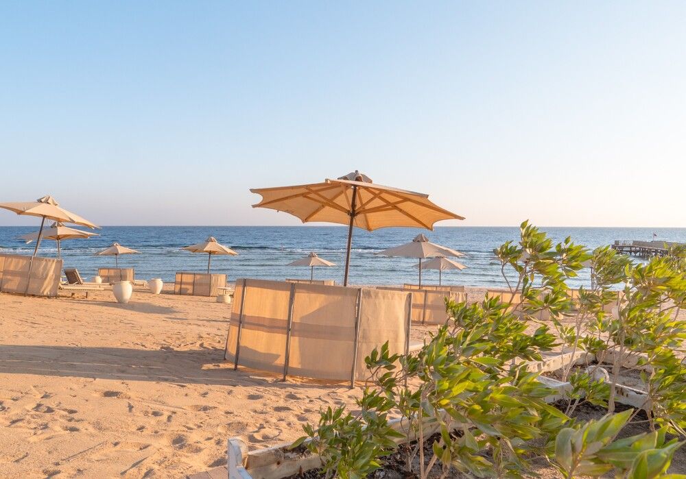 SERENITY ALMA HEIGHTS - 50