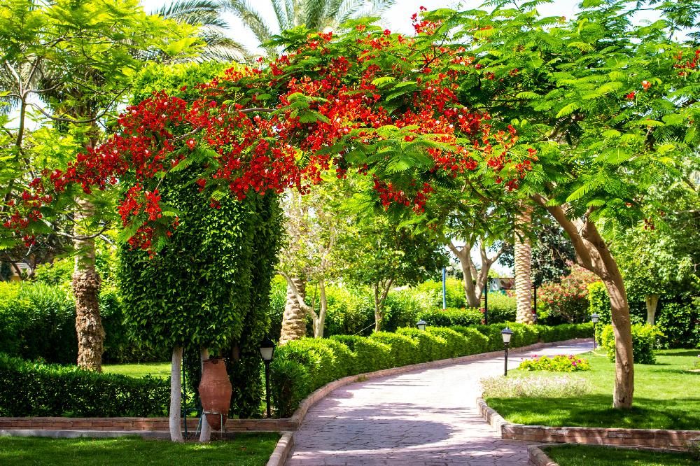 GOLDEN BEACH RESORT AND AQUA PARK - 51