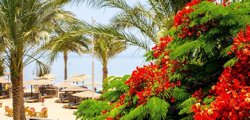 GOLDEN BEACH RESORT AND AQUA PARK - 45