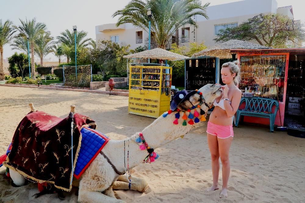 GOLDEN BEACH RESORT AND AQUA PARK - 43