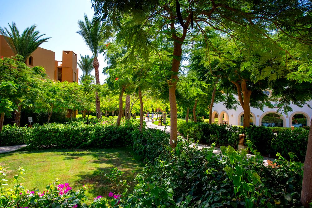 STELLA MAKADI BEACH RESORT & SPA - 6