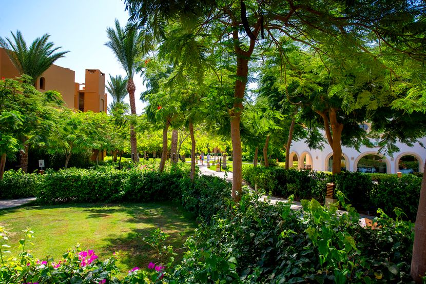 STELLA MAKADI BEACH RESORT & SPA - 6