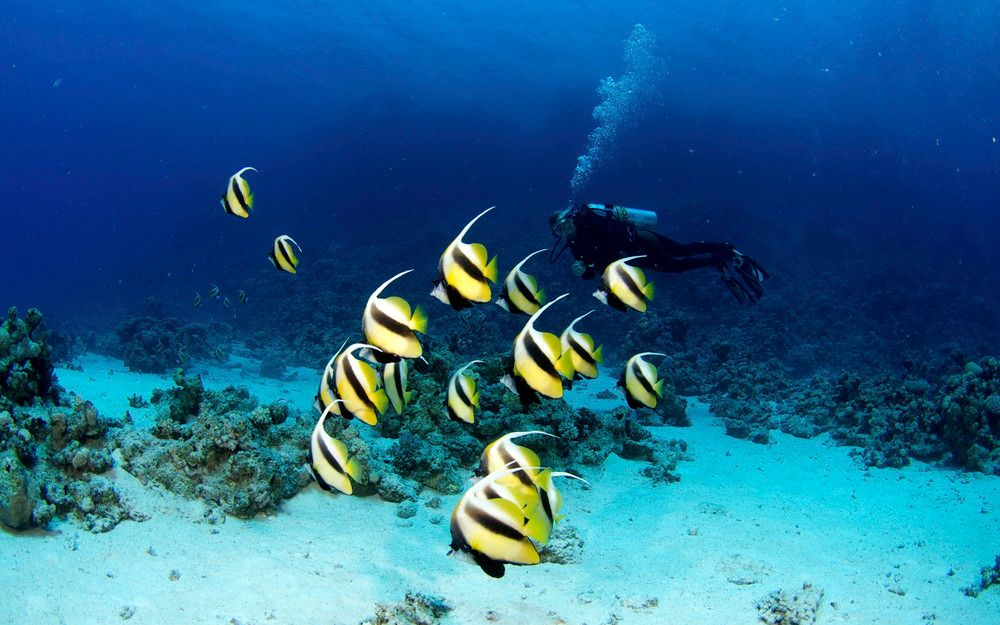 AMARINA ABU SOMA RESORT & AQUAPARK - 51