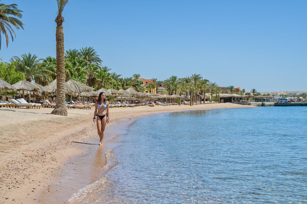 Картинка отеля - 12