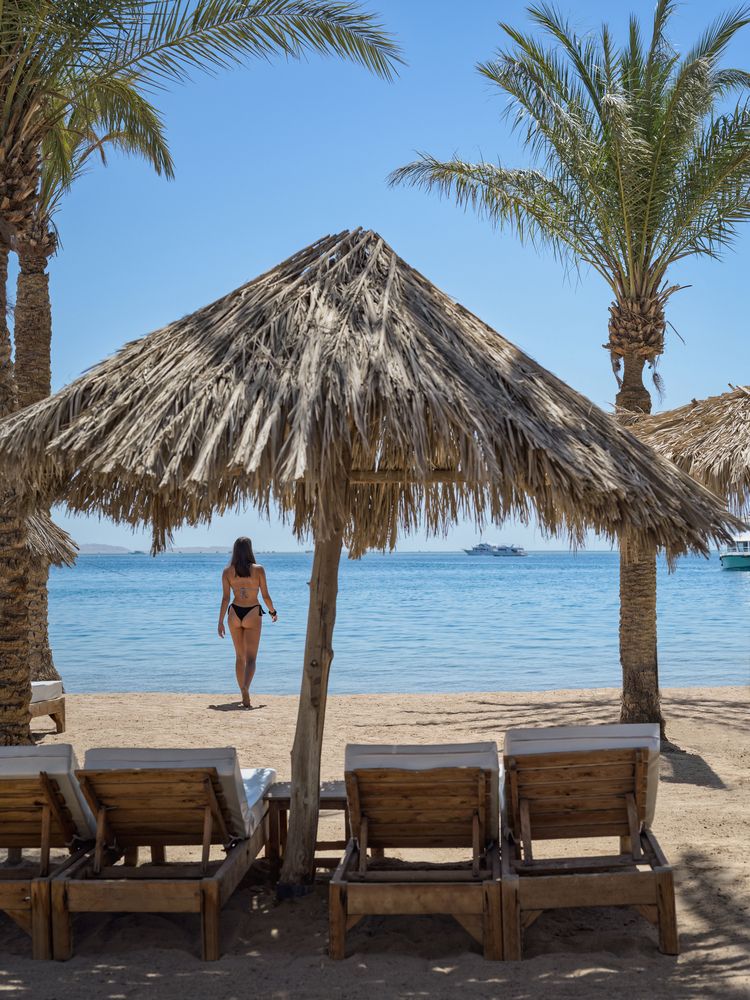 Картинка отеля - 10