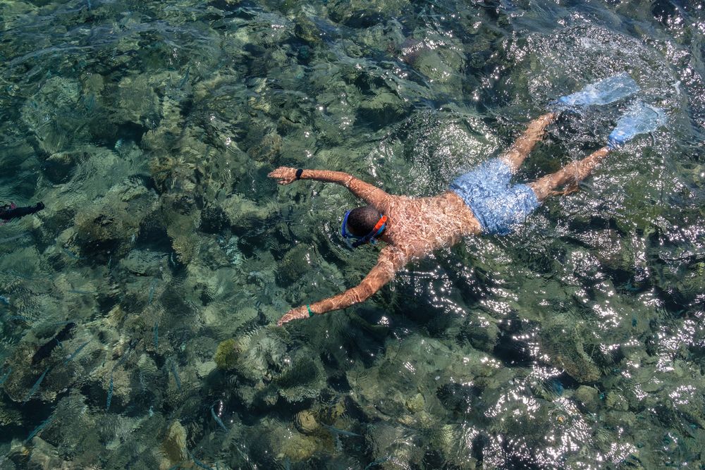 Картинка отеля - 90