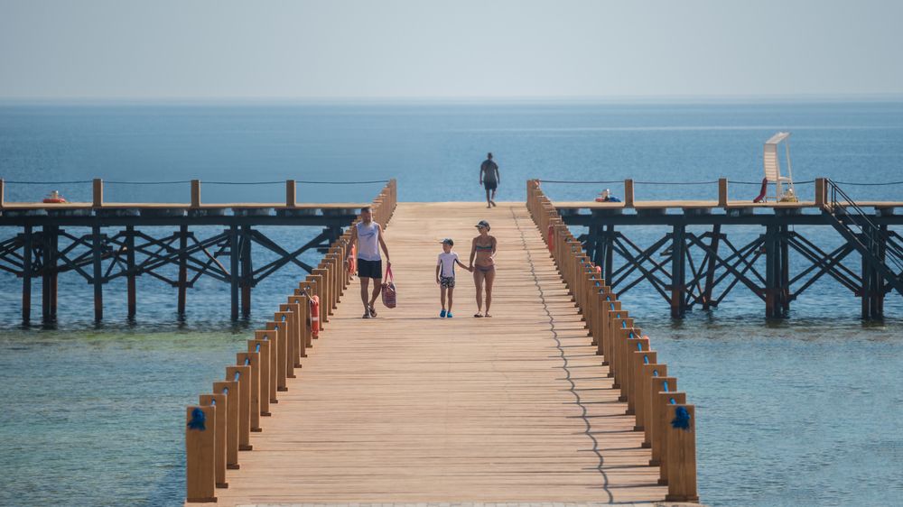 ALBATROS SEA WORLD - 2