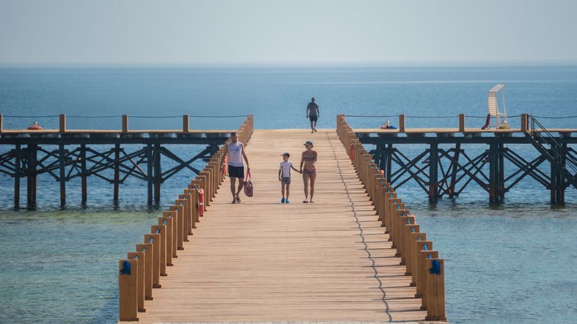 ALBATROS SEA WORLD - 2