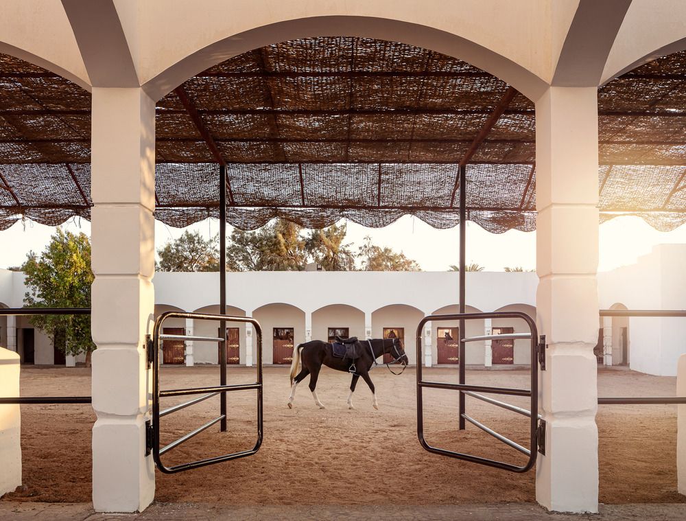 Картинка отеля - 26