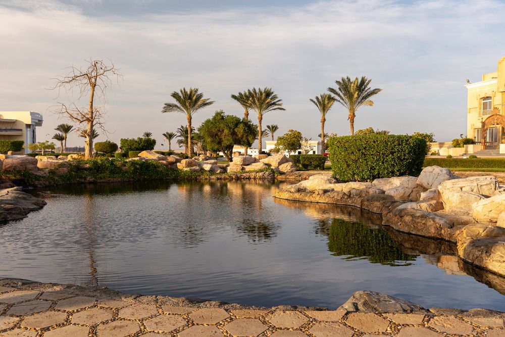 PALM ROYALE RESORT - 14