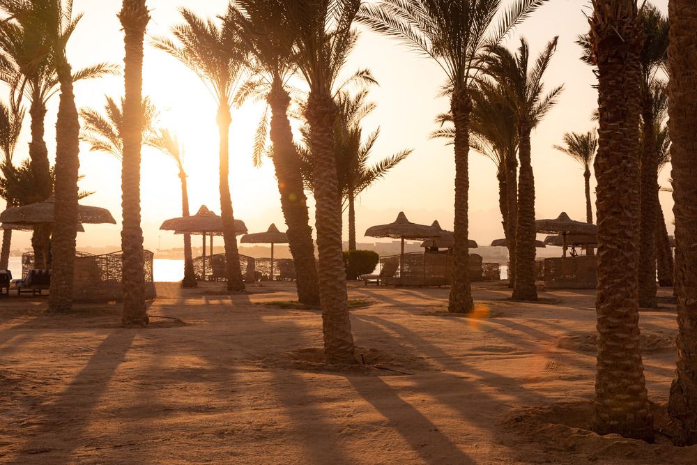 Картинка отеля - 7