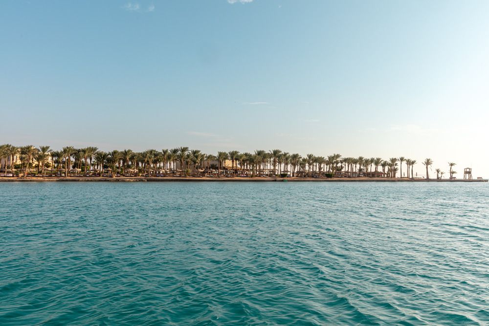 PALM ROYALE RESORT - 10