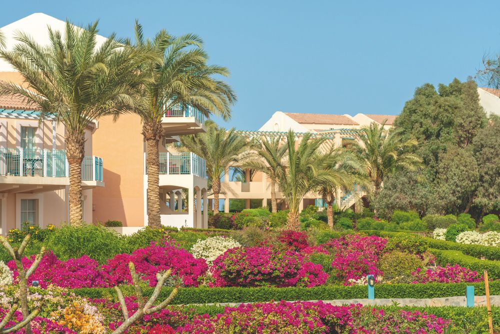 MOVENPICK RESORT & SPA EL GOUNA - 3