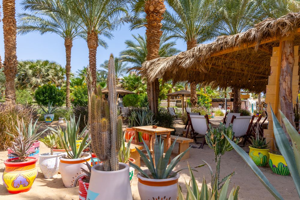 FORT ARABESQUE BEACH RESORT - 38