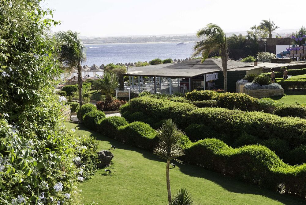 Картинка отеля - 2