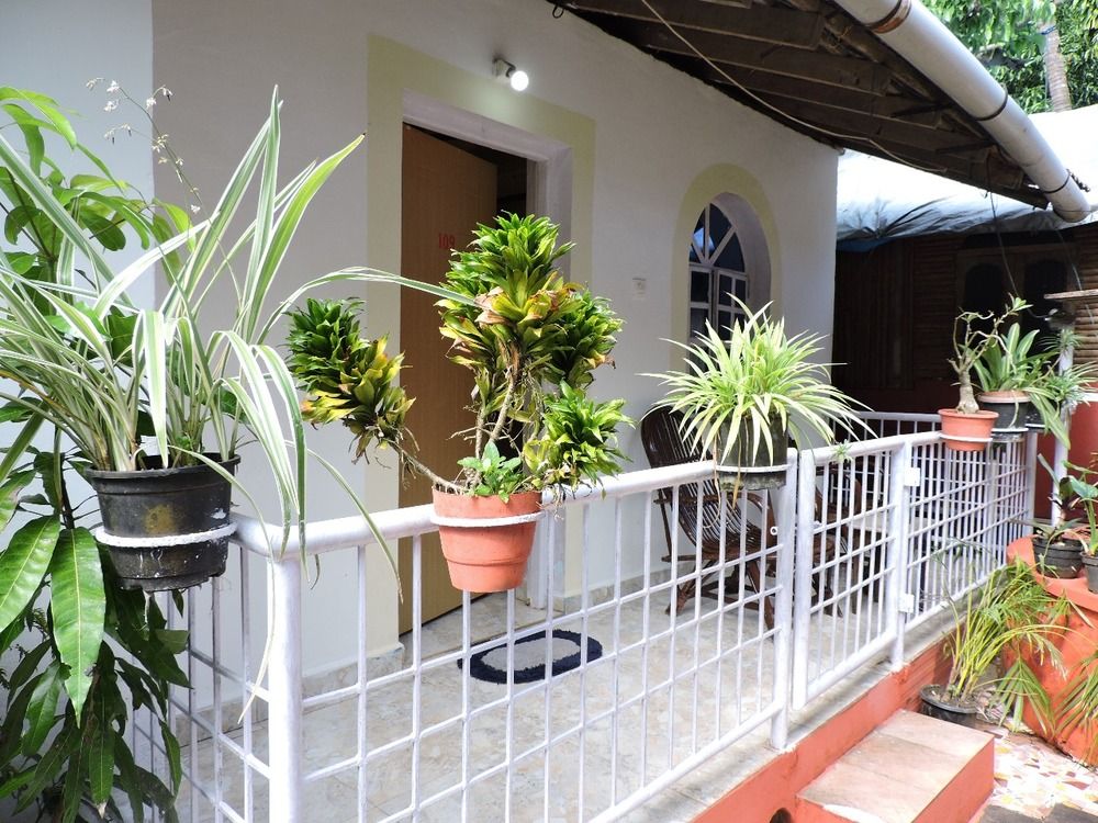 ZAPPIA COVE GUEST HOUSE - 12