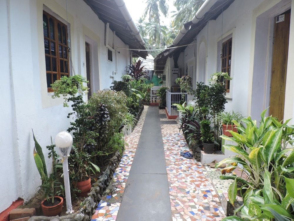 ZAPPIA COVE GUEST HOUSE - 5