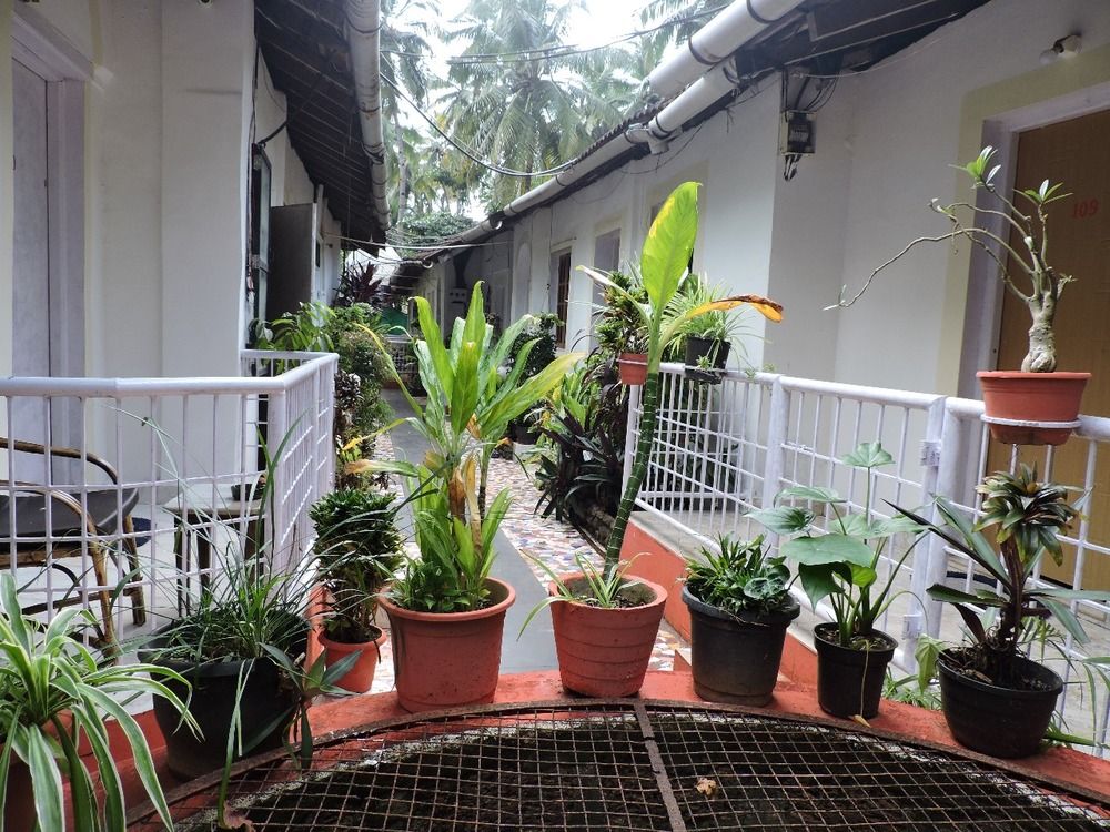 ZAPPIA COVE GUEST HOUSE - 6