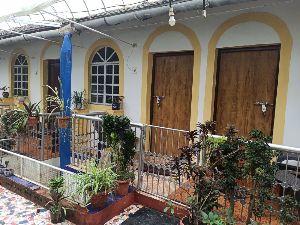 ZAPPIA COVE GUEST HOUSE - 4