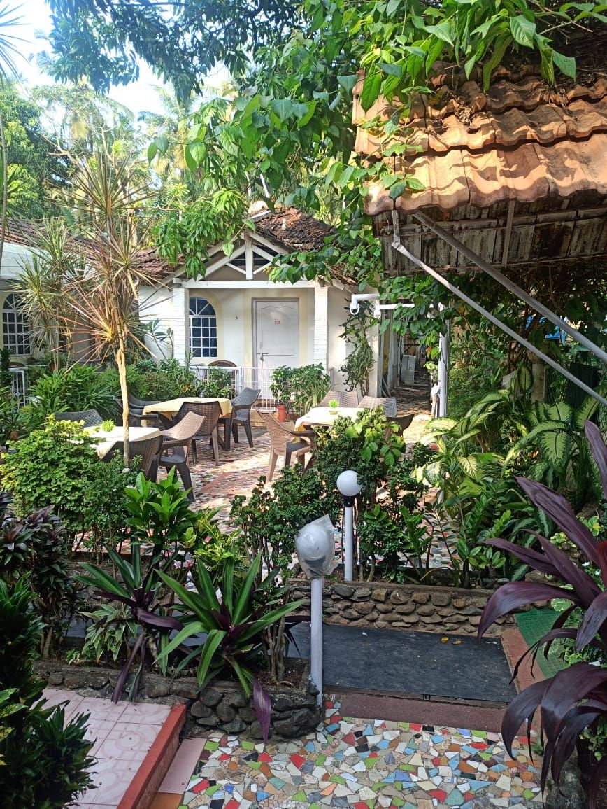 ZAPPIA COVE GUEST HOUSE - 9