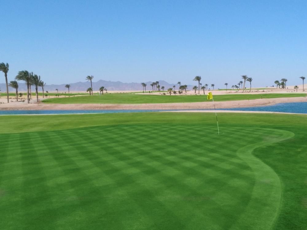 Картинка отеля - 26