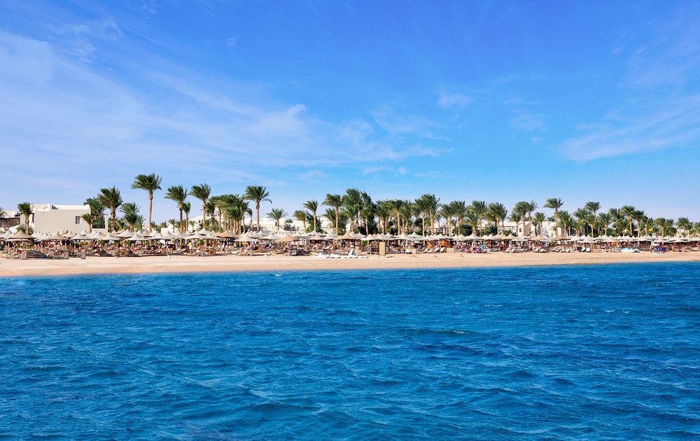 Картинка отеля - 21