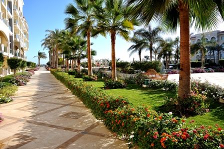 Картинка отеля - 9