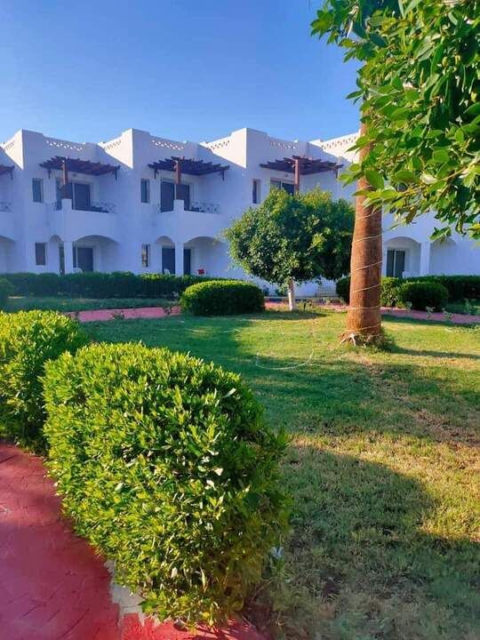 UNI SHARM - 1
