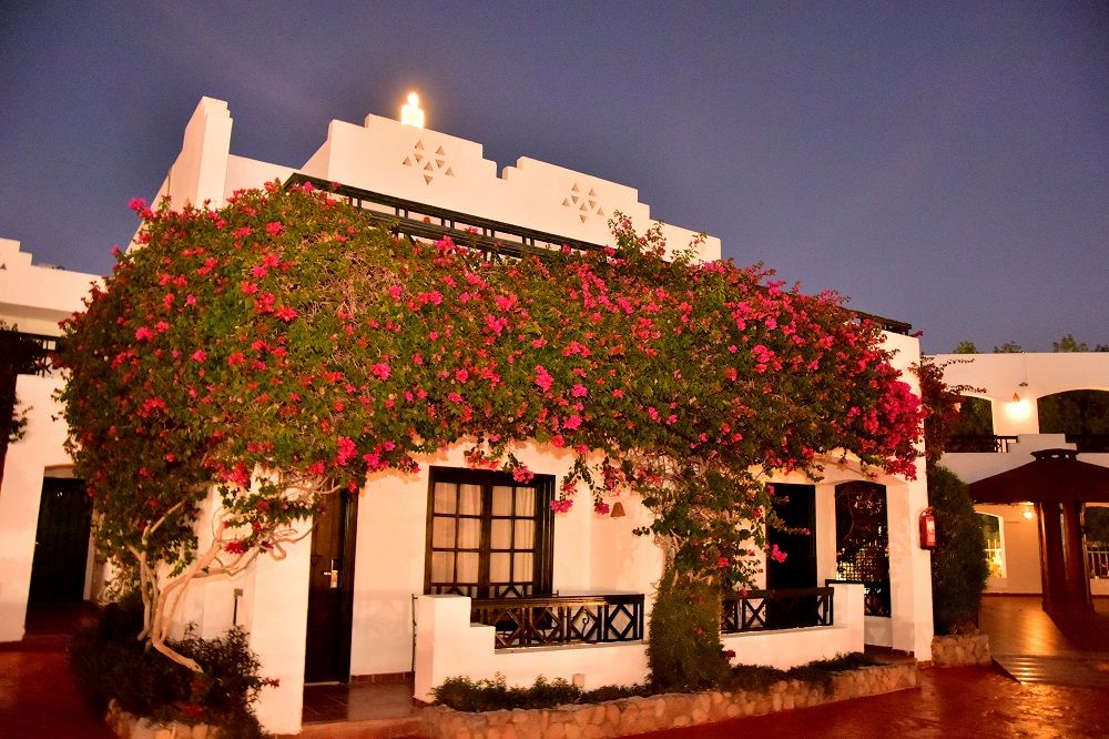 Картинка отеля - 4