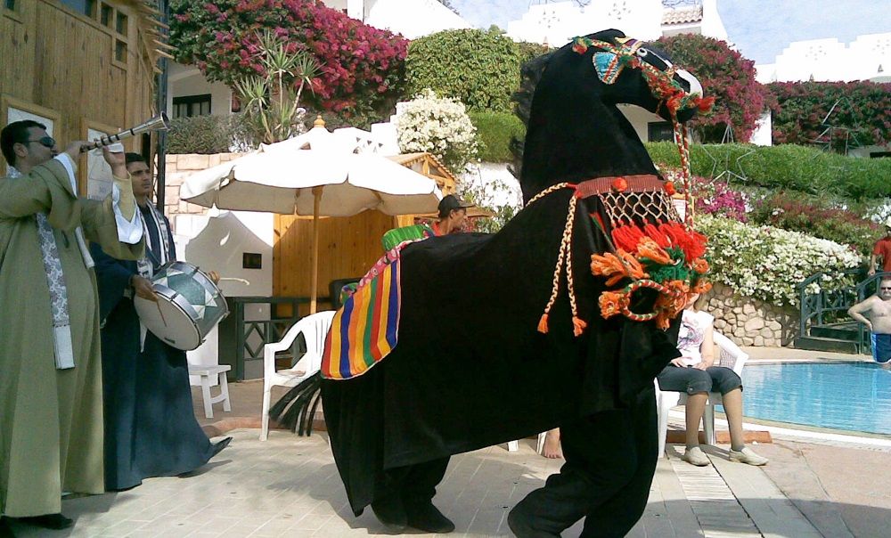 Картинка отеля - 61