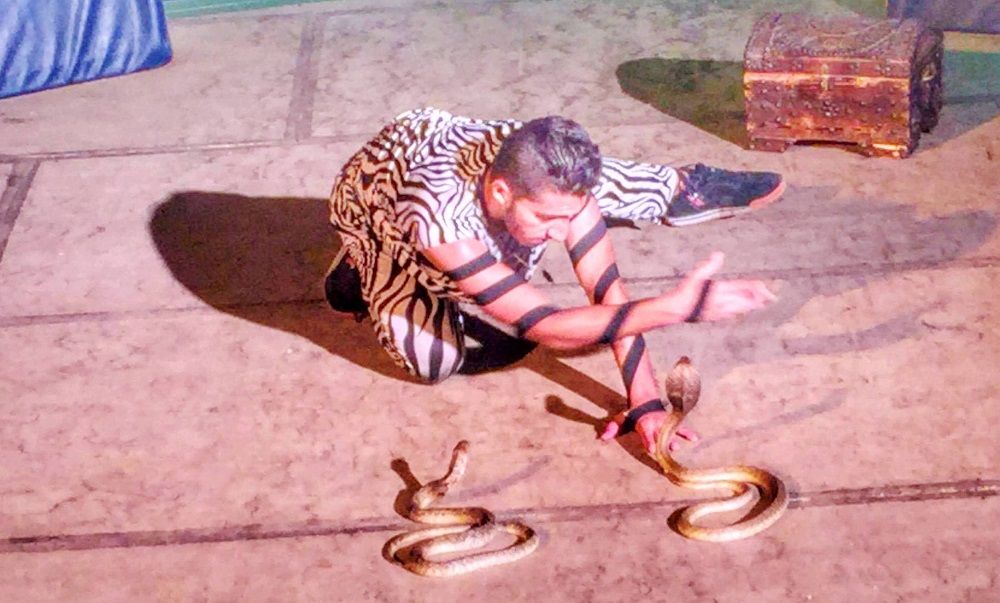 Картинка отеля - 59