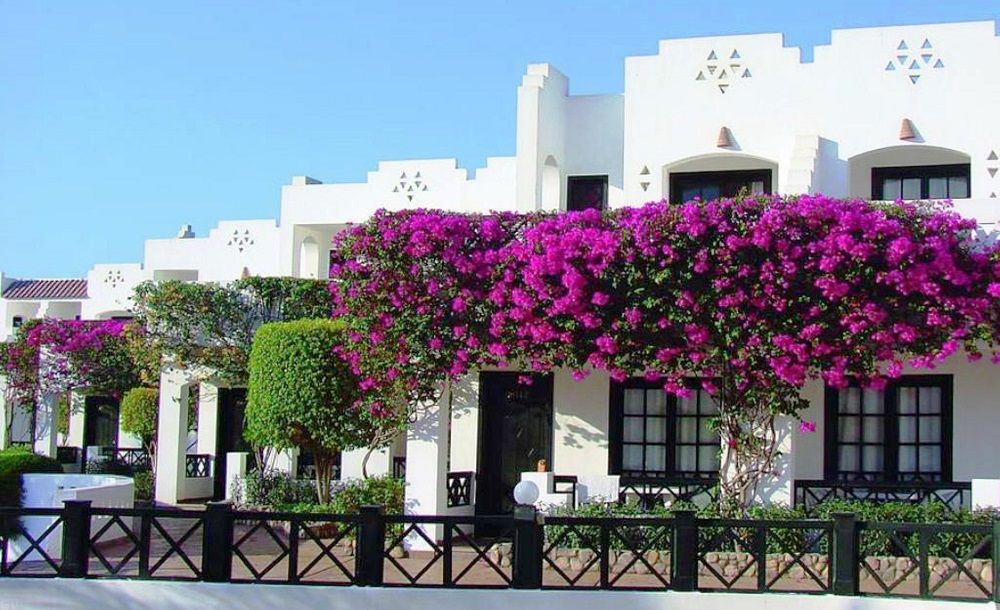 Картинка отеля - 23