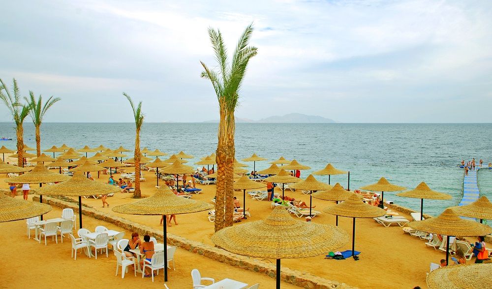 Картинка отеля - 25