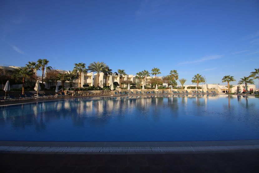 SHARM REEF - 5